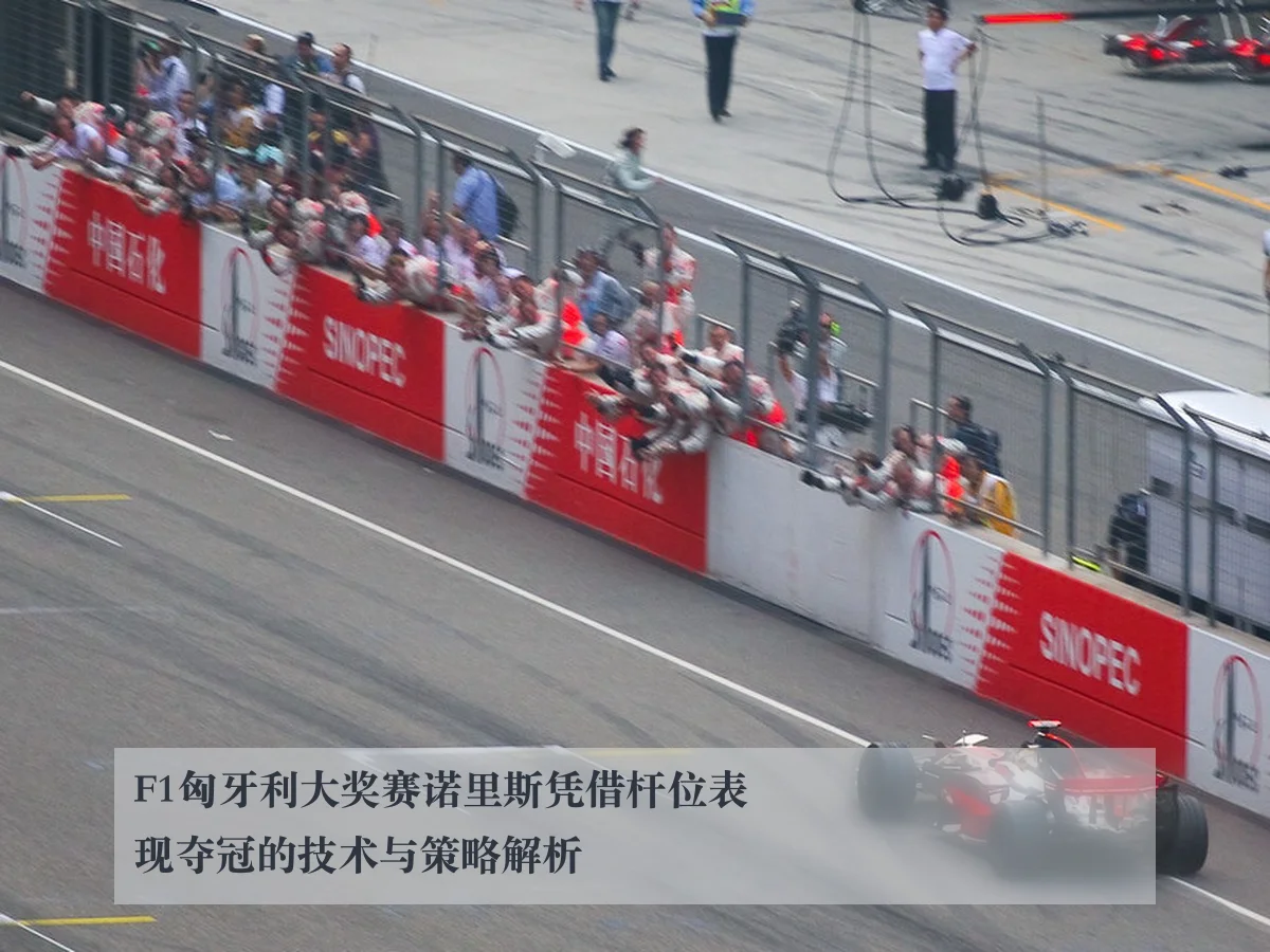F1匈牙利大奖赛诺里斯凭借杆位表现夺冠的技术与策略解析